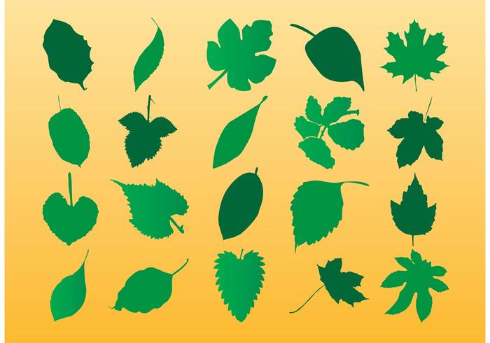 Vector Leaf Silhouette Art Vector Leaf Silhouette Art