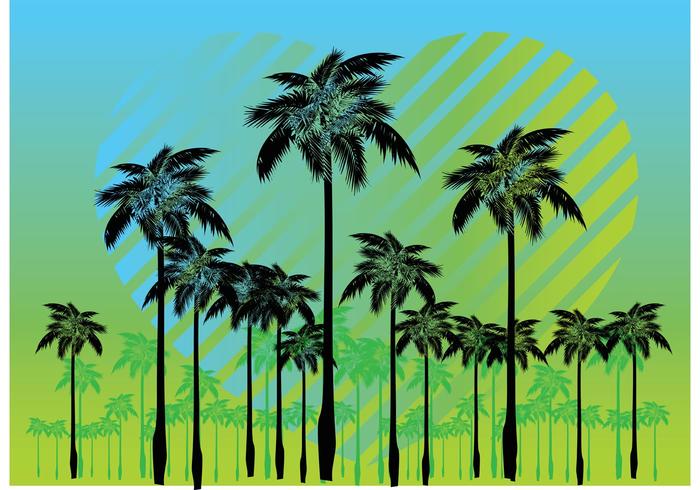 Free Palm Tree Vectors Free Palm Tree Vectors
