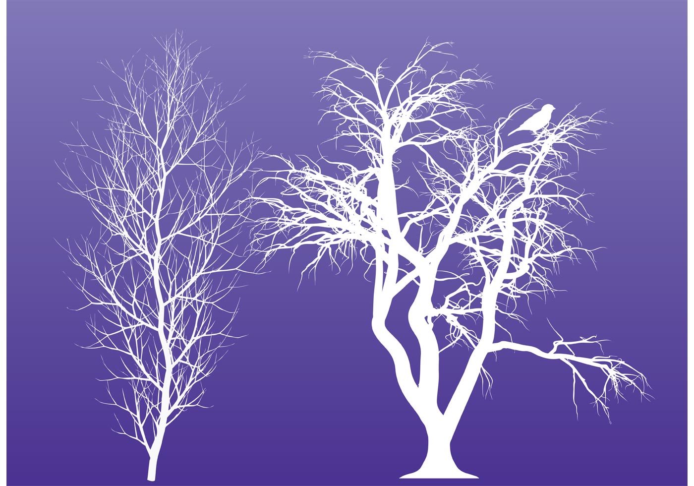Download Winter Trees - Download Free Vector Art, Stock Graphics & Images