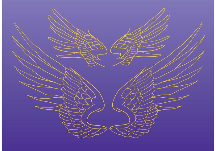 Wings Vector Drawing Wings Vector Drawing