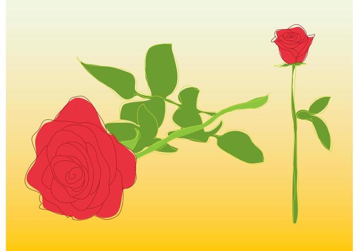 Roses Vector Roses Vector