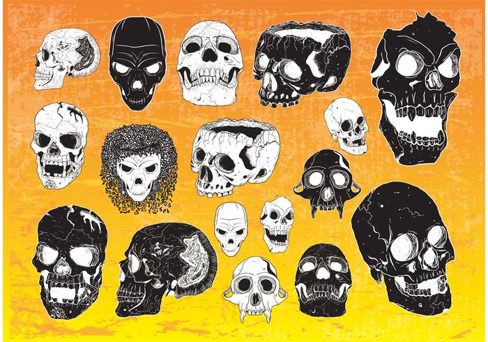 Terror Vectors Terror Vectors