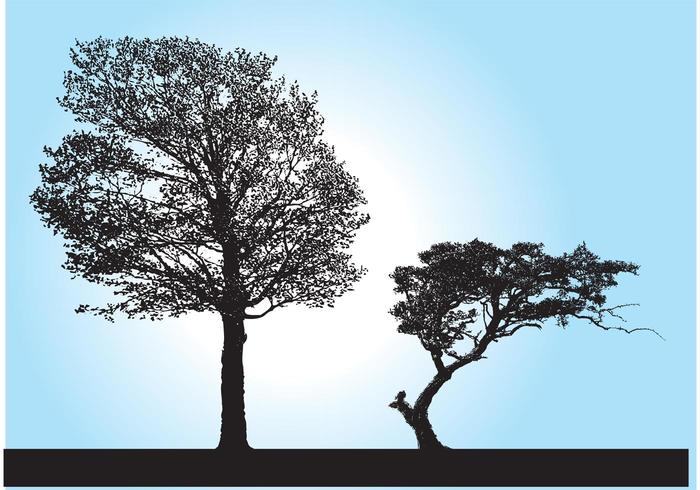 Tree Silhouette Vectors Tree Silhouette Vectors
