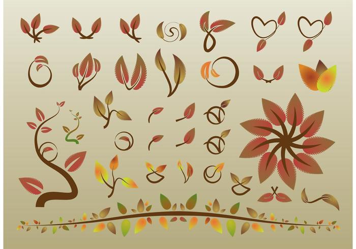 Autumn Leaves Vectors Autumn Leaves Vectors