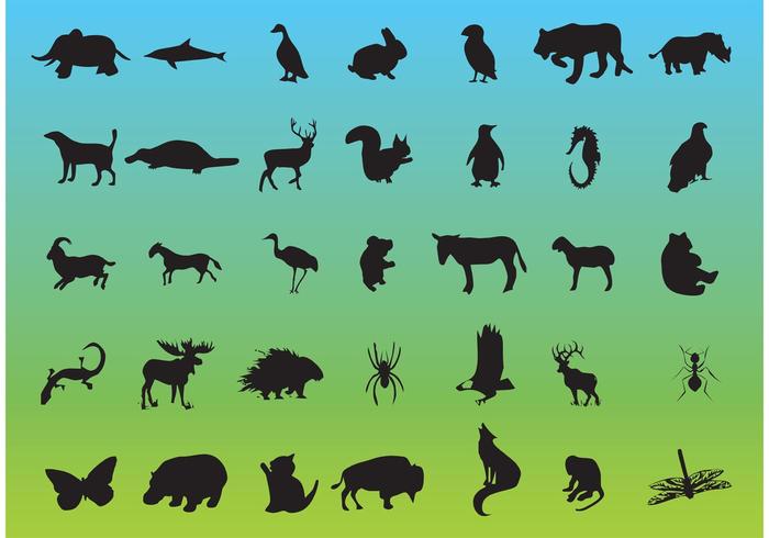 Wildlife Vector Wildlife Vector