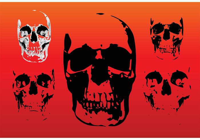Free Skull Vectors Free Skull Vectors