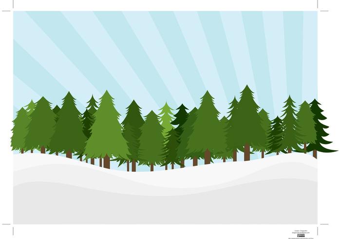 Pine Trees Landscape Pine Trees Landscape