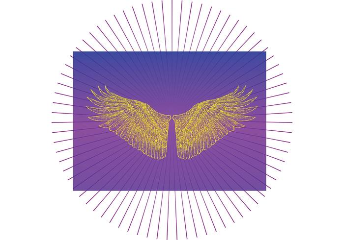 Heaven Wings Vector Heaven Wings Vector