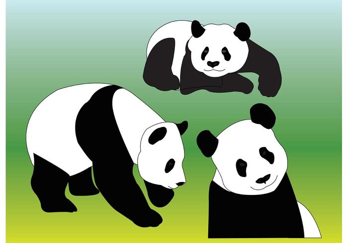 Panda Vectors Panda Vectors