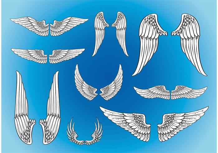 Vector Art Wings Vector Art Wings