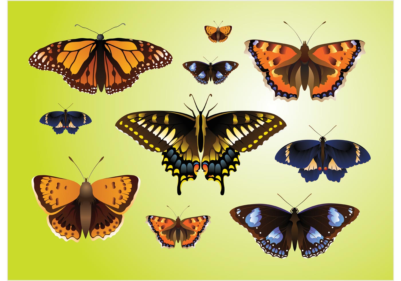 Free Free 241 Realistic Flying Butterfly Svg SVG PNG EPS DXF File