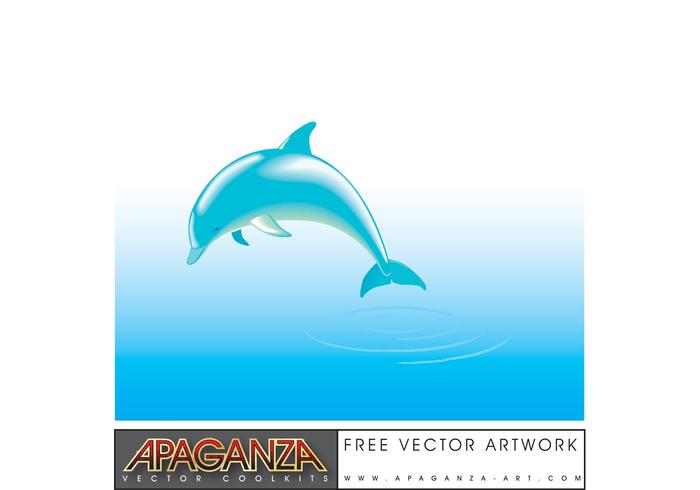 Free Dolphin Vector Free Dolphin Vector