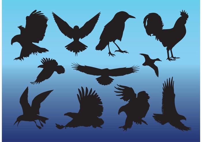 Free Birds Vectors Free Birds Vectors