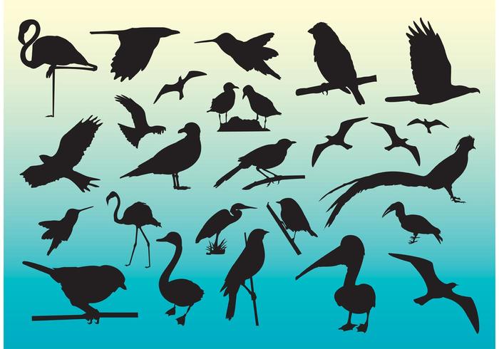 Free Birds Vector Silhouettes Free Birds Vector Silhouettes