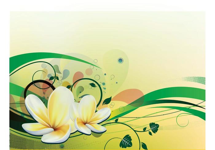 Water Lily Vector Water Lily Vector