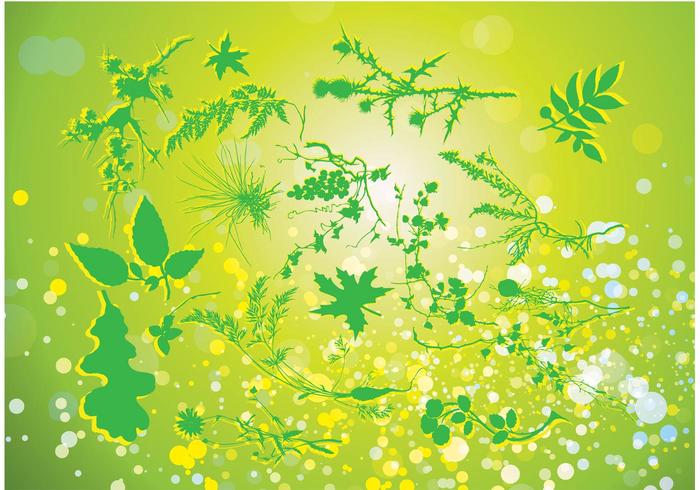 Green Nature Vector Green Nature Vector