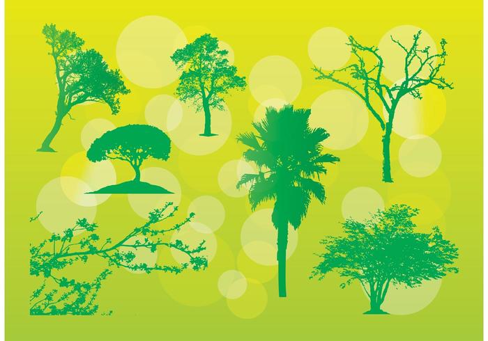 Free Tree Vector Illustrations Free Tree Vector Illustrations