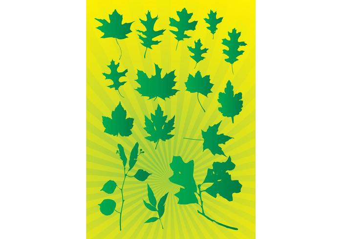 Leafs Vector Graphics Leafs Vector Graphics