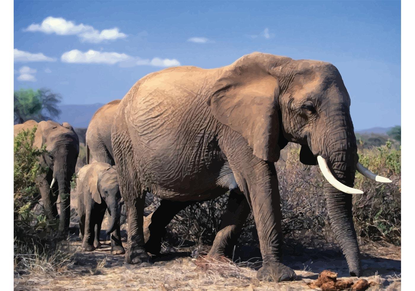 Download Elephant Family - Download Free Vector Art, Stock Graphics ...