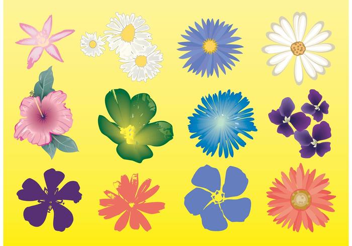 Free Flowers Vector Graphics