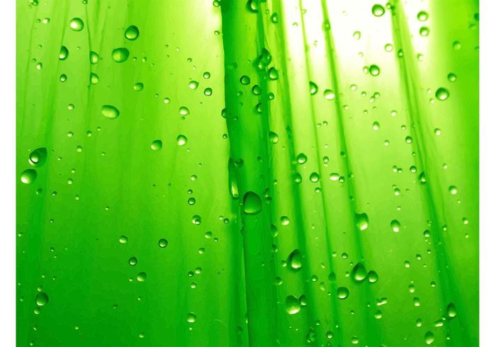 Dew Drops Dew Drops