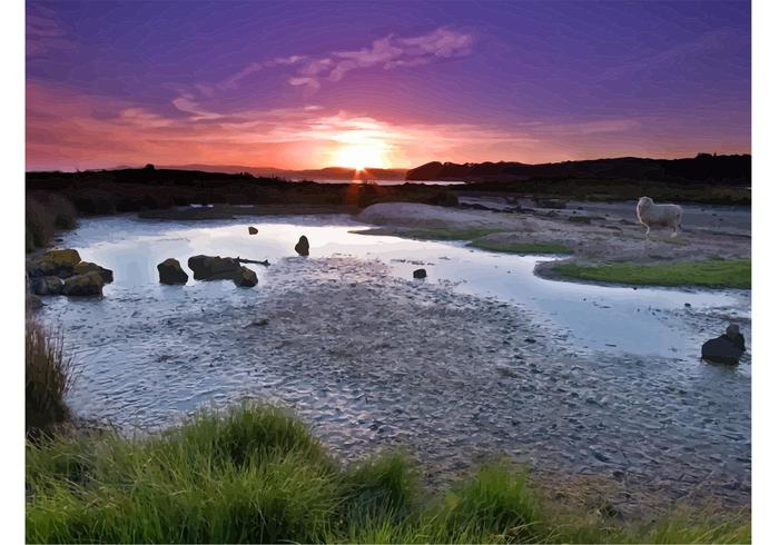 Creek Sunset Creek Sunset