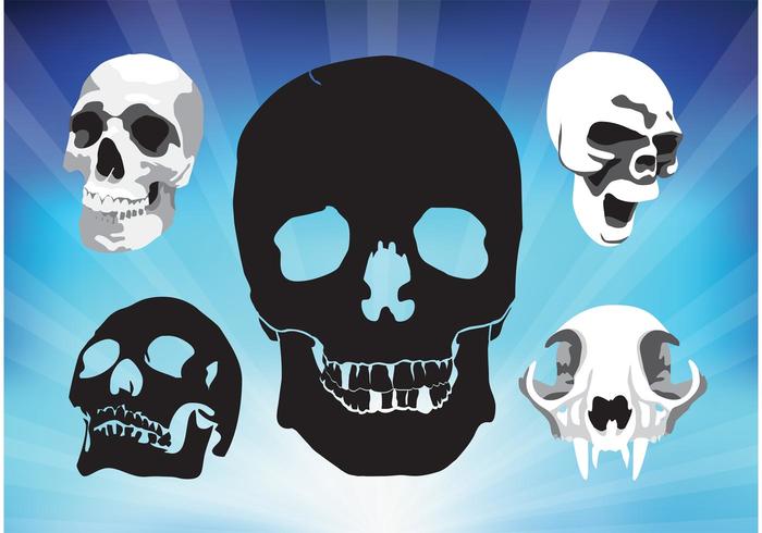 Spooky Skulls Vectors Spooky Skulls Vectors