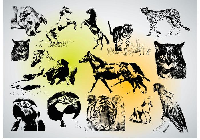 Download Animal Vectors