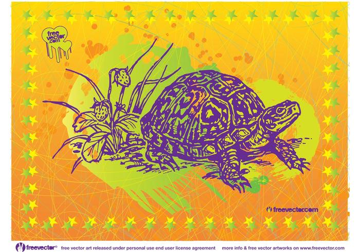 Turtle Vector Art Turtle Vector Art