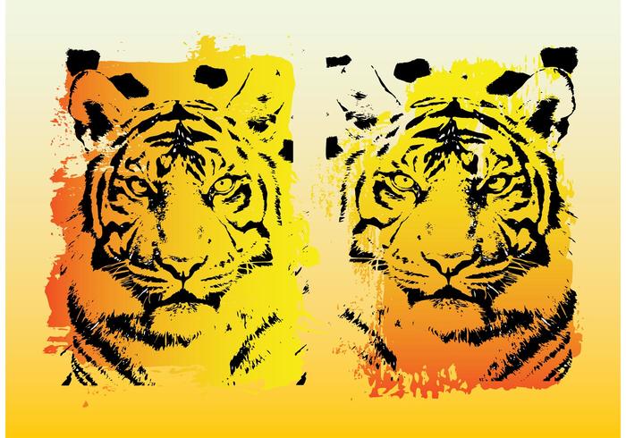 Tigers Vector Graphics Tigers Vector Graphics