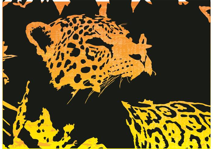 Jaguar Vector Jaguar Vector