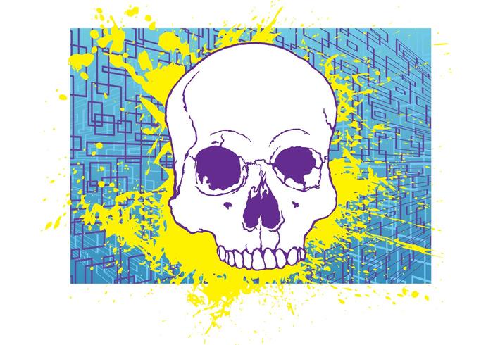 Free Skull Stock Image Free Skull Stock Image
