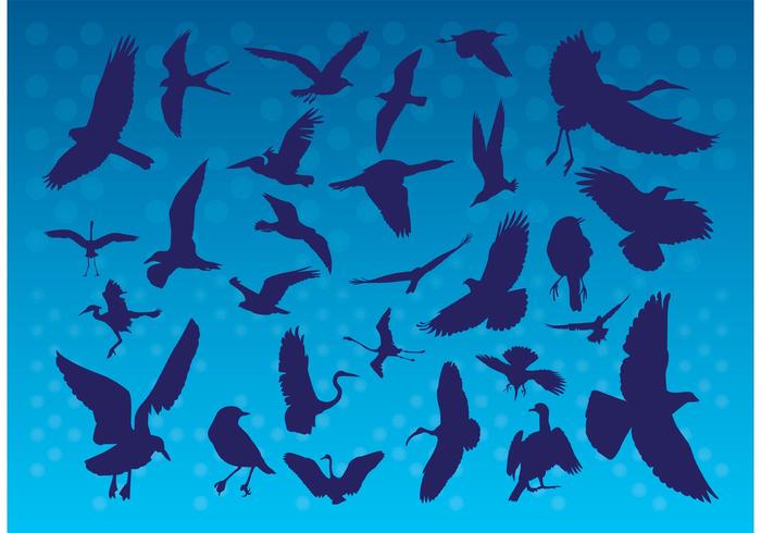 Flying Birds Silhouettes Flying Birds Silhouettes