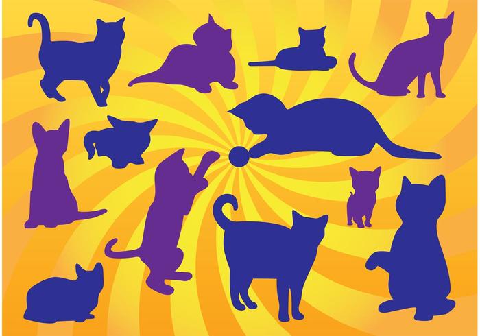 Kitten Vectors Kitten Vectors