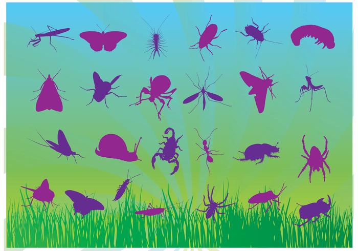 Free Insects Vectors Free Insects Vectors