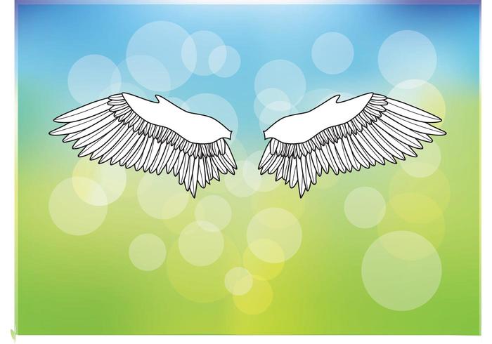 Free Wings Vectors Free Wings Vectors