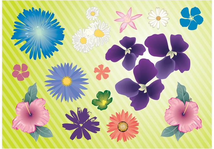 Garden Flowers Vector Garden Flowers Vector