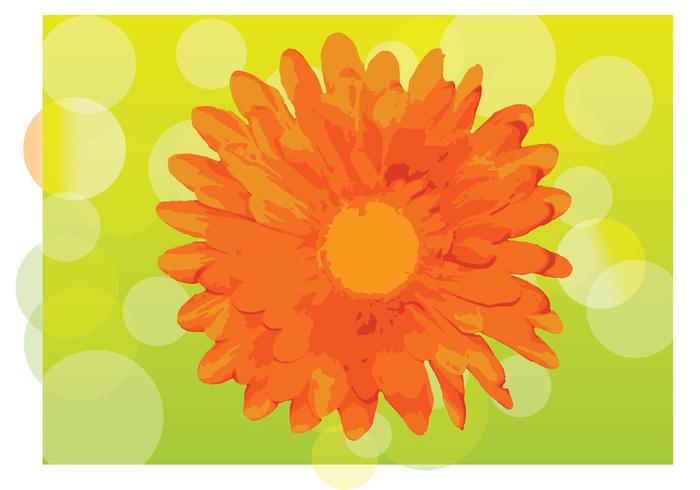 Free Flower Vector Free Flower Vector