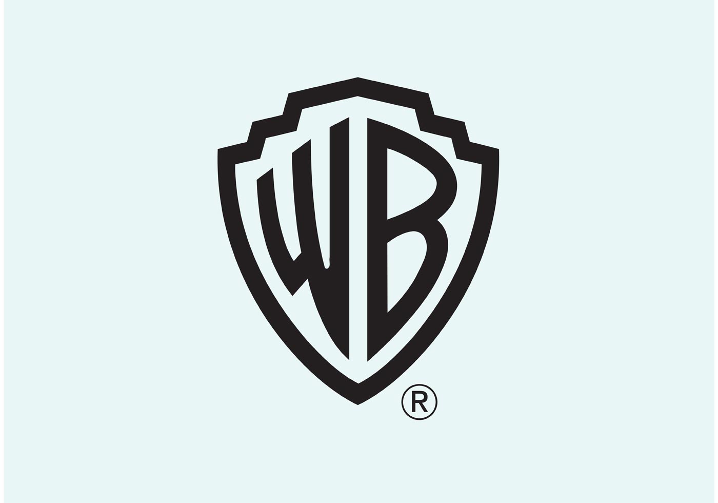 warner bros corporate strategy warner bros corporate strategy
