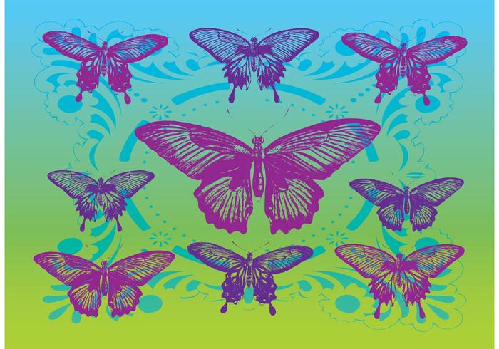 Free Vector Butterflies Free Vector Butterflies