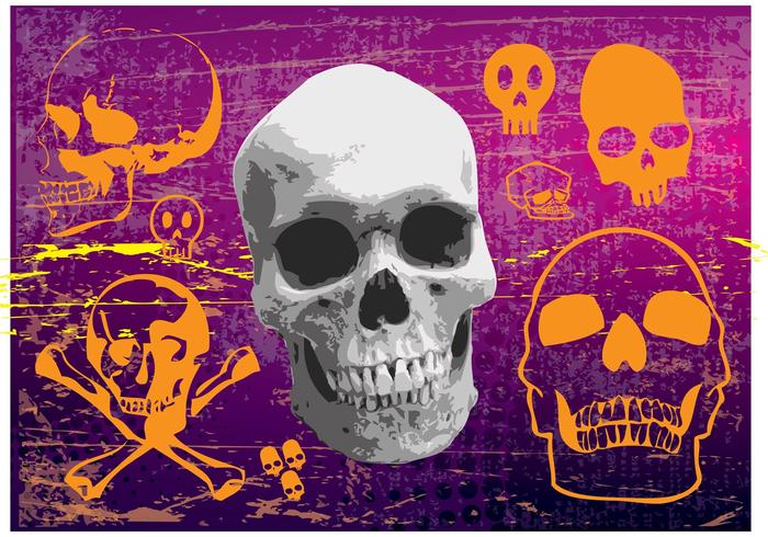 Free Skulls Vector Graphics Free Skulls Vector Graphics