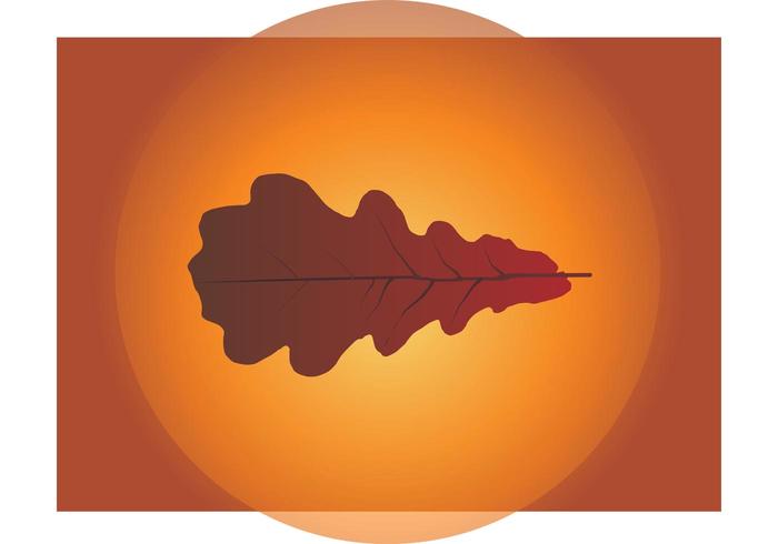 Autumn Leaf Vector Autumn Leaf Vector