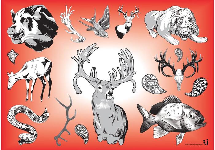 Wildlife Vector Graphics