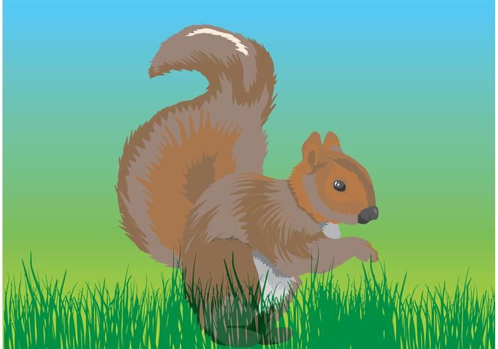 Chipmunk Vector Chipmunk Vector