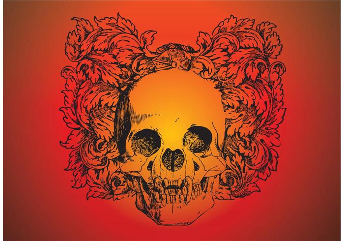 Skull Vector Download Skull Vector Download