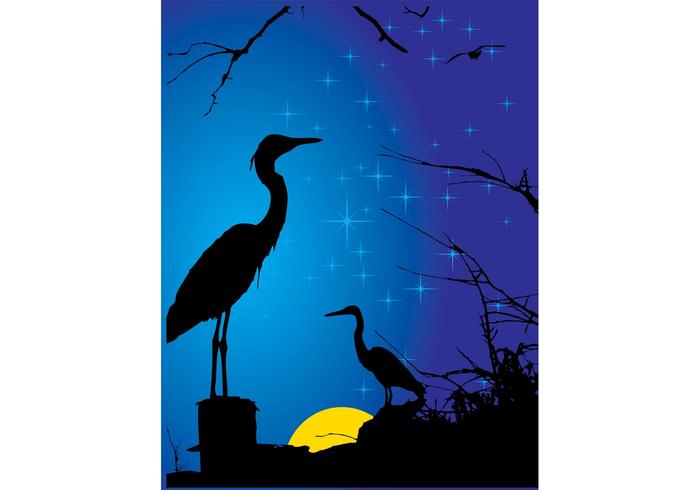 Stork Vector Stork Vector