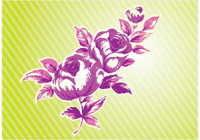 Pink Rose Pink Rose
