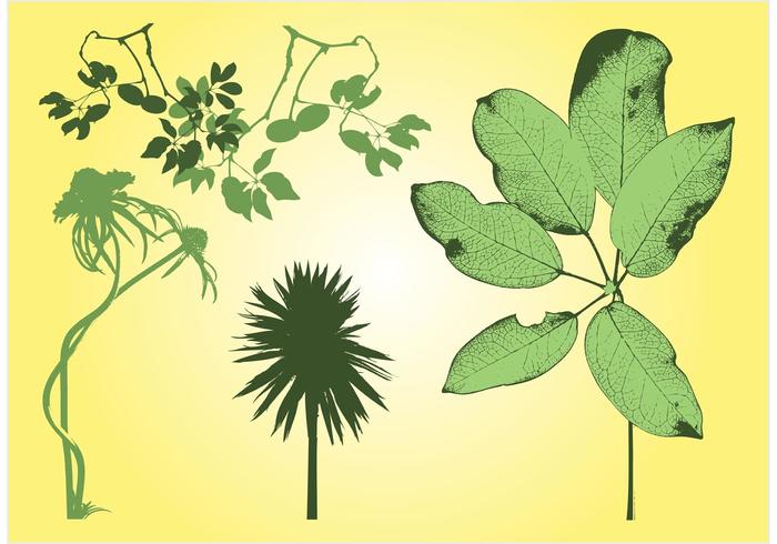 Free Plants Stock Free Plants Stock