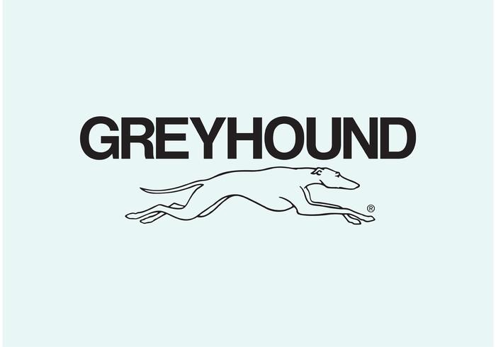 Greyhound Greyhound