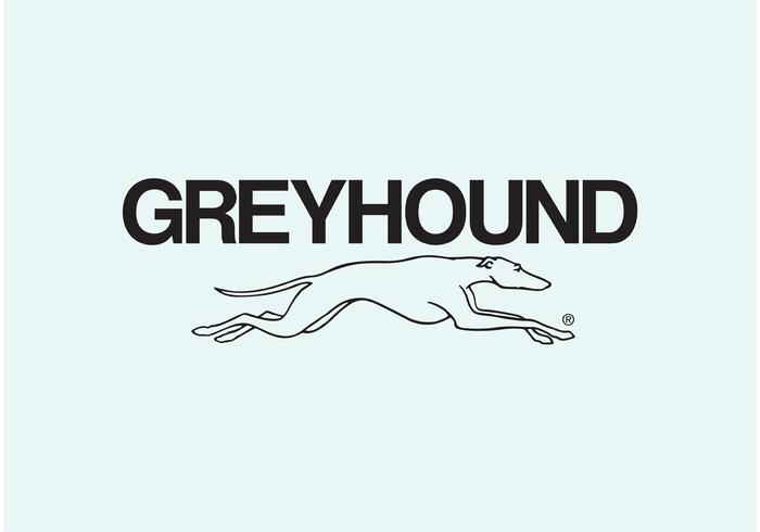 Greyhound vector